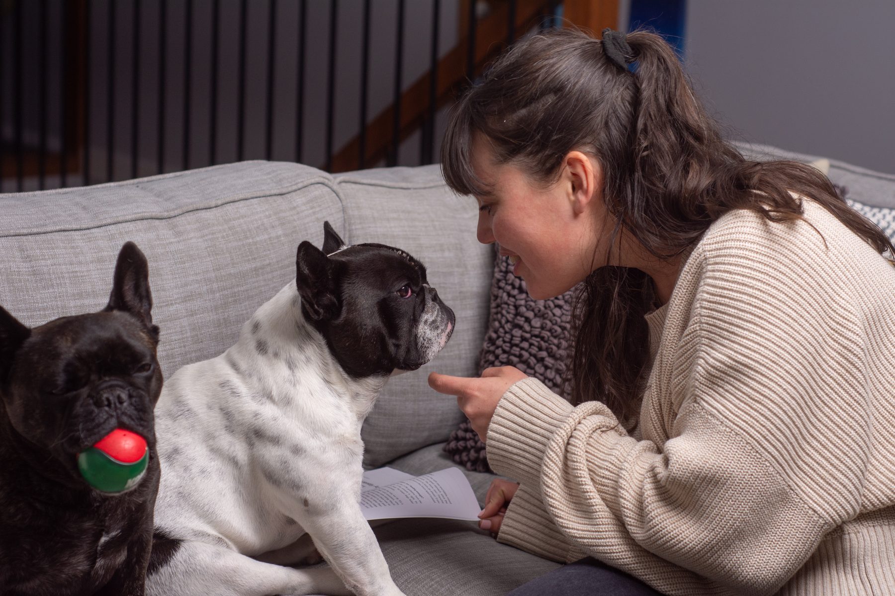 Alessa Grimm nose to nose with her French Bulldog Raphy on the couch, Audrey beside them with her ball
